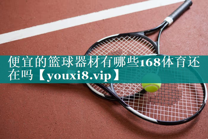 便宜的篮球器材有哪些168体育还在吗