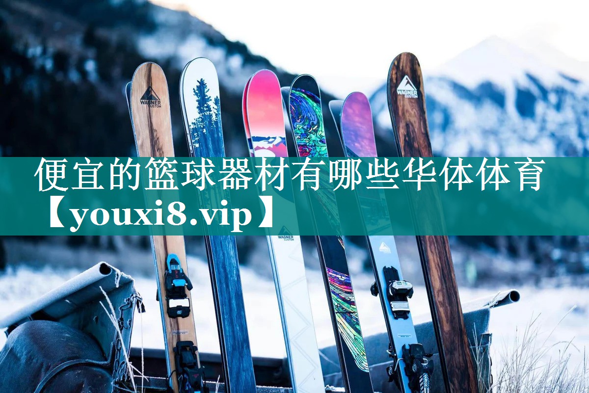 便宜的篮球器材有哪些华体体育
