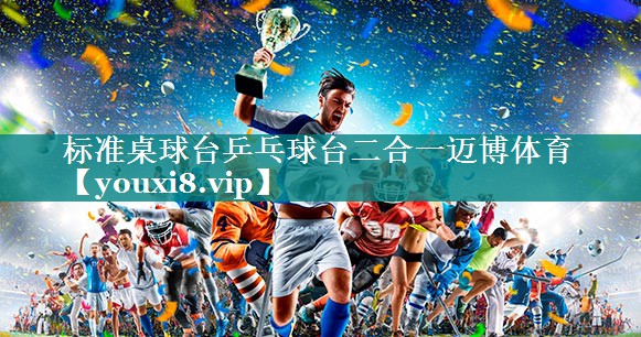 标准桌球台乒乓球台二合一迈博体育