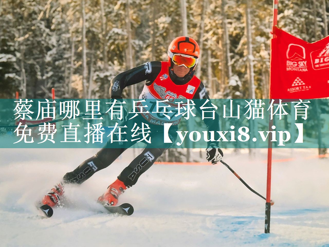 蔡庙哪里有乒乓球台山猫体育免费直播在线