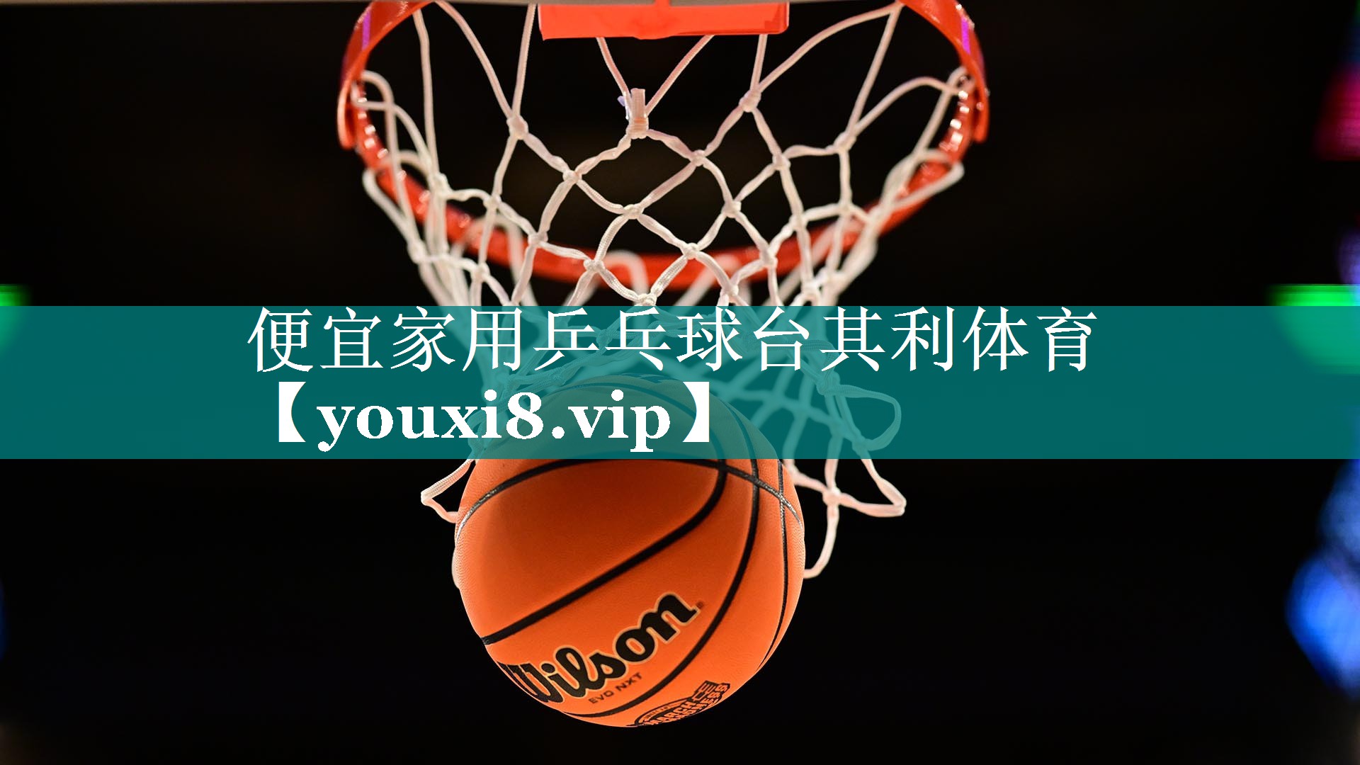便宜家用乒乓球台其利体育