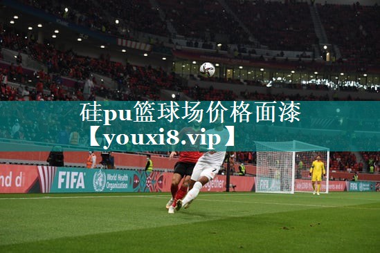 硅pu篮球场价格面漆