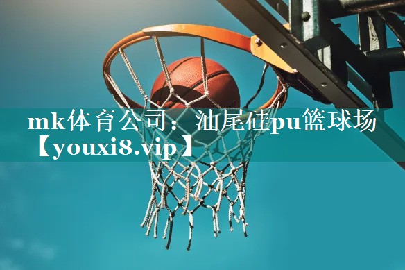 汕尾硅pu篮球场
