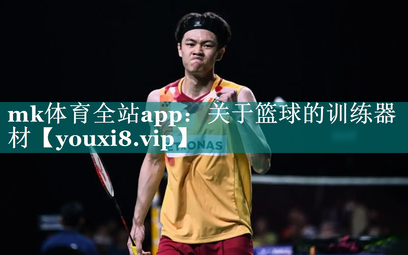 关于篮球的训练器材